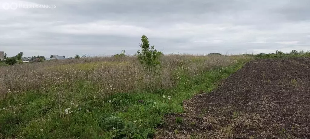 Участок в Лямбирский район, село Атемар (10 м) - Фото 1