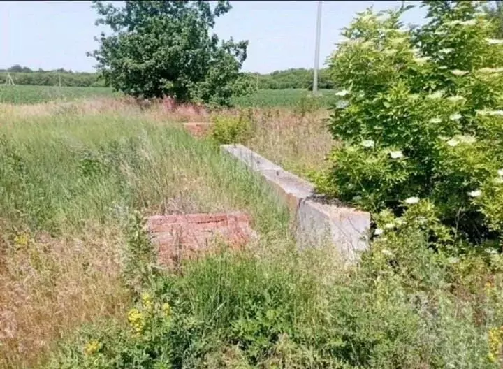 Участок в Белгородская область, Белгородский район, Бессоновское ... - Фото 1