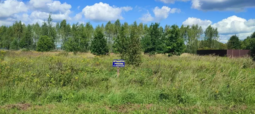 Участок в Владимирская область, Киржачский муниципальный округ, д. ... - Фото 0