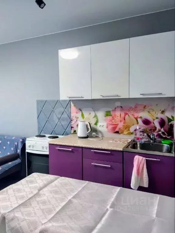 Студия Удмуртия, Ижевск ул. 10 лет Октября, 60Бк2 (26.8 м) - Фото 2