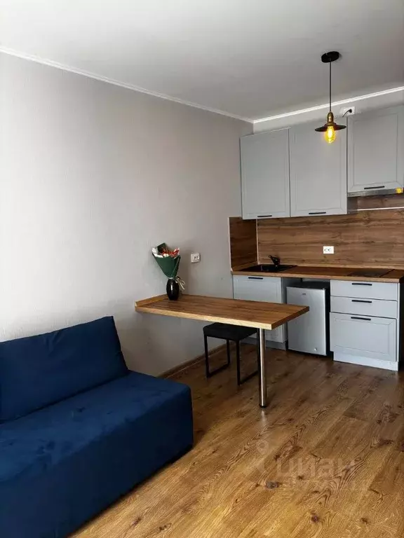 Студия Санкт-Петербург пос. Парголово, проезд Толубеевский, 8к2 (24.0 ... - Фото 1