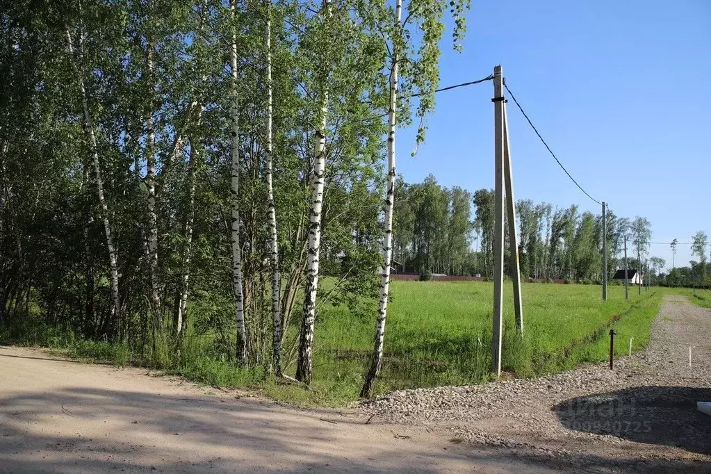 Участок в Тульская область, Заокский район, Страховское с/пос, д. ... - Фото 2