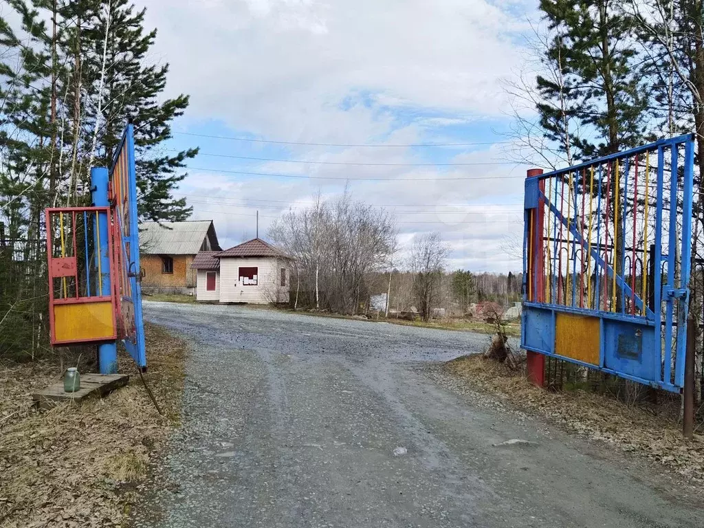 Участок 10 сот. (СНТ, ДНП) - Фото 0