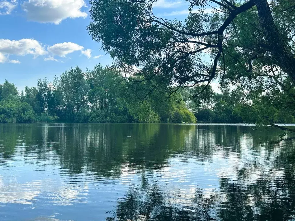 Участок в Московская область, Домодедово Березки-2 СНТ, ул. Цветочная ... - Фото 1