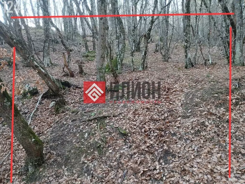 Участок в Крым, Ялта муниципальный округ, Краснокаменка пгт пер. ... - Фото 1