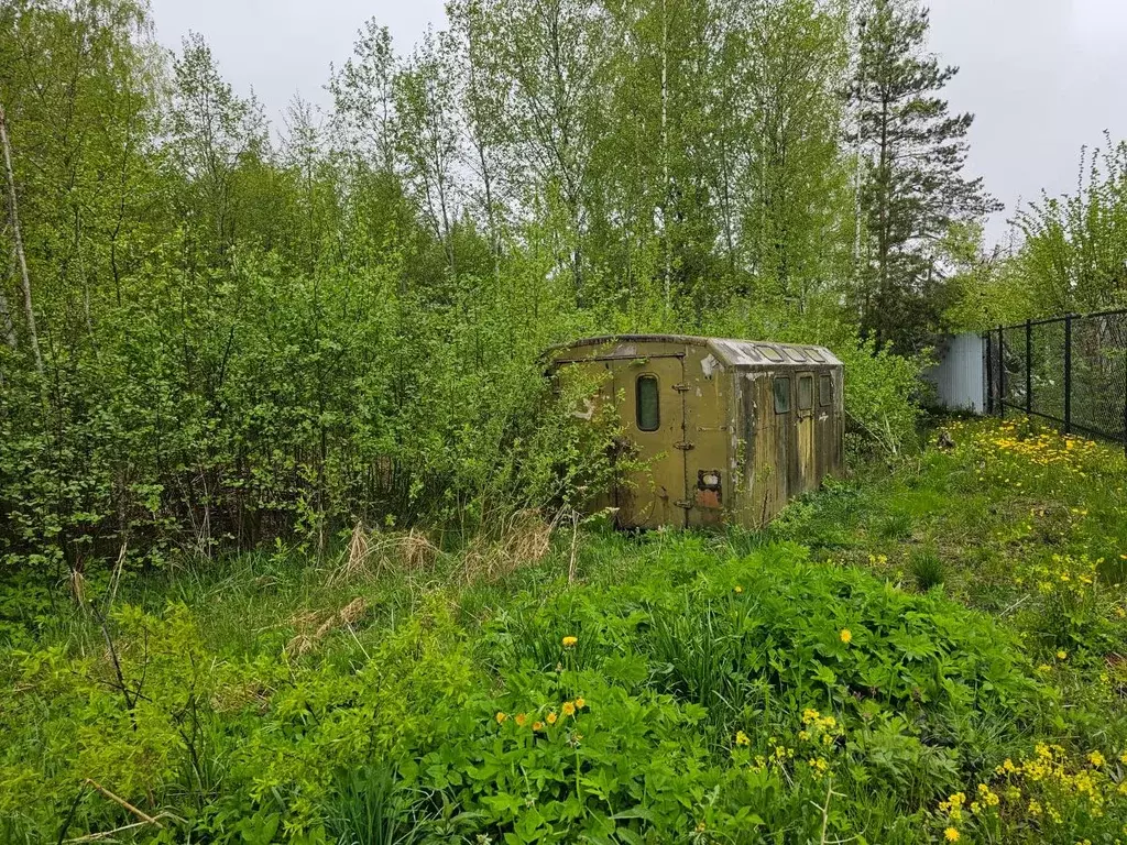 Участок в Ленинградская область, Кингисеппский район, Ивангородское ... - Фото 1