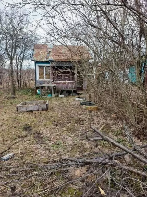 Участок в Ярославская область, Ярославль Нефтяник-1 СНТ, 373 (3.2 ... - Фото 1