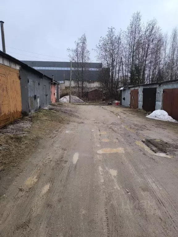 Гараж в Коми, Сыктывкар Лесопарковая ул., 1/2 (19 м) - Фото 1