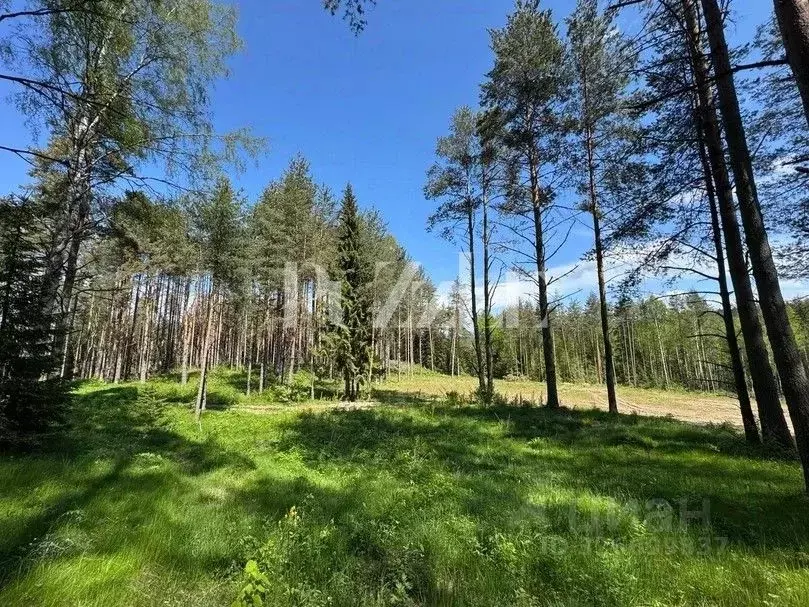 Участок в Ленинградская область, Всеволожский район, Бугровское ... - Фото 2