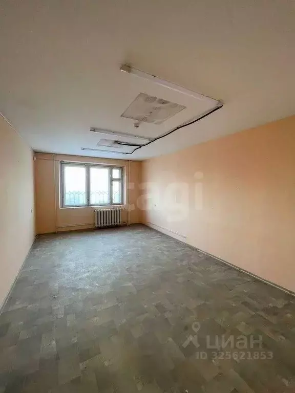 Помещение свободного назначения в Тюменская область, Тюмень Паровозная ... - Фото 1