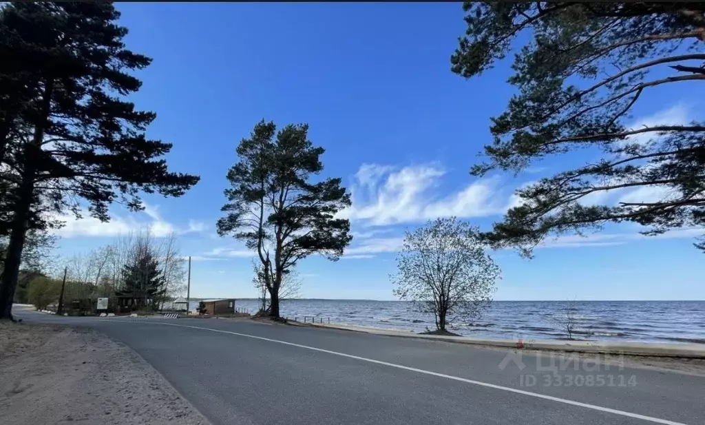 Дом в Ленинградская область, Всеволожский район, Рахьинское городское ... - Фото 2
