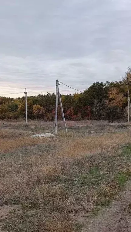 Участок в Волгоградская область, Краснослободск Среднеахтубинский ... - Фото 1