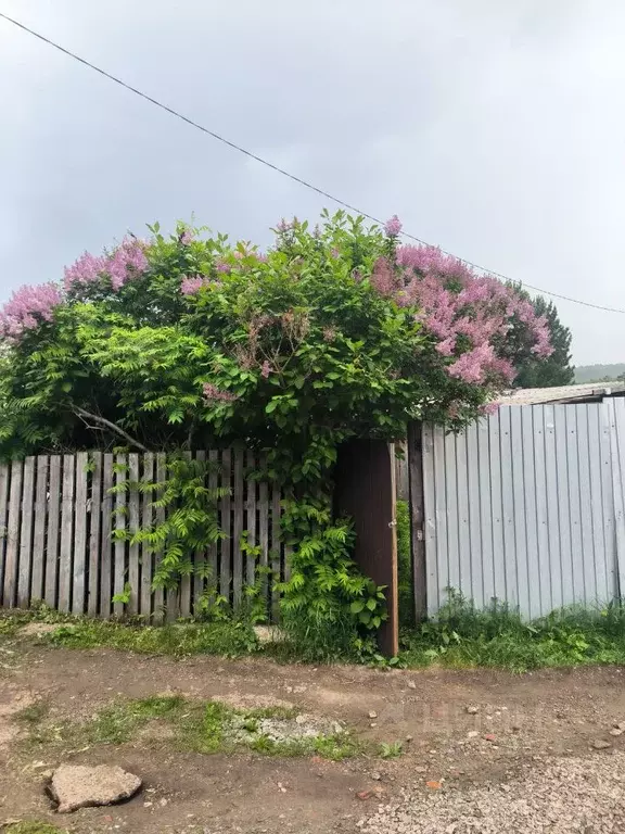 Дом в Иркутская область, Иркутск Ангара СНТ, ул. 1-я Западная (60 м) - Фото 2