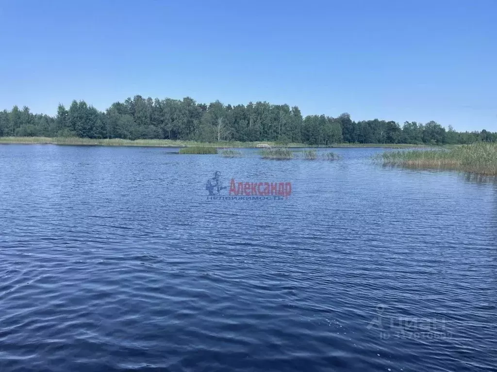 Участок в Ленинградская область, Приозерский район, Ларионовское ... - Фото 0