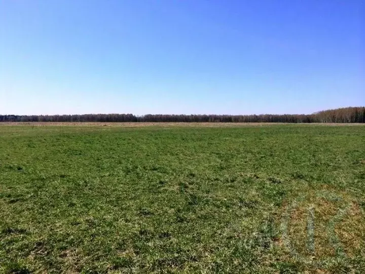 Участок в Крым, Симферопольский район, с. Трудовое ул. Сахарова (8.0 ... - Фото 2