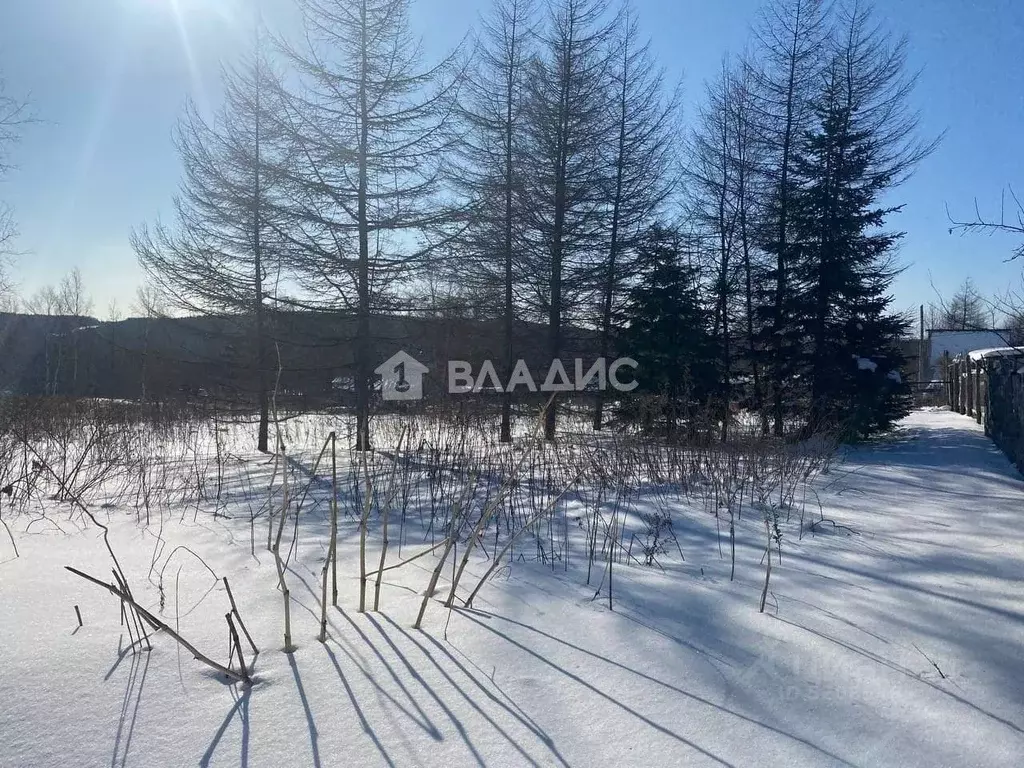 Участок в Сахалинская область, Южно-Сахалинск городской округ, с. ... - Фото 1