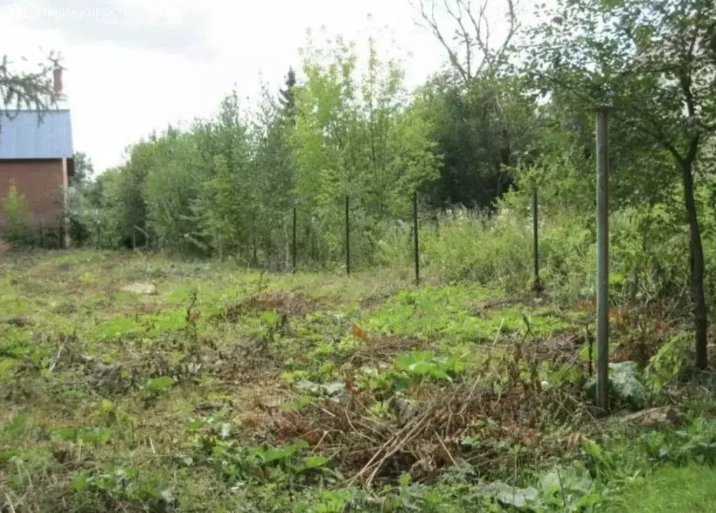 Участок в Ростовская область, Родионово-Несветайский район, ... - Фото 2