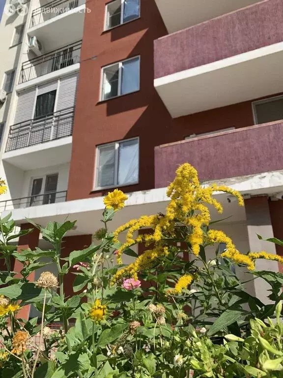 2-комнатная квартира: Астрахань, микрорайон имени Бабаевского, ... - Фото 1