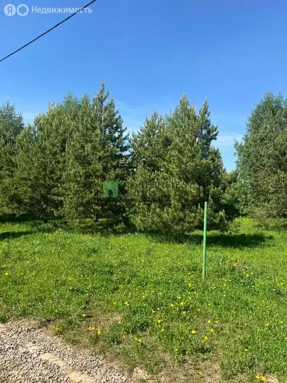 Участок в Завьяловский район, коттеджный посёлок Соловьи, Рябиновая ... - Фото 1