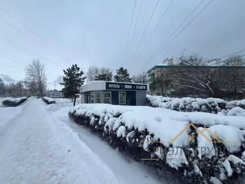 Помещение свободного назначения в Татарстан, Зеленодольск ГМ Западный ... - Фото 2