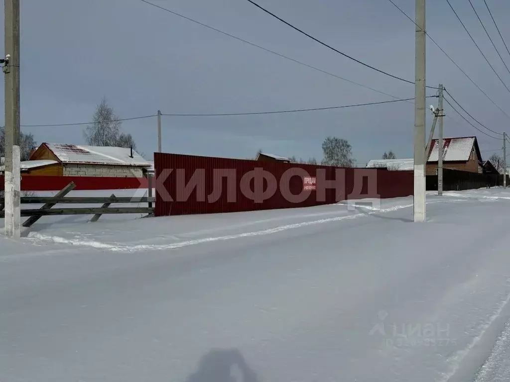 Участок в Новосибирская область, Ордынское рп ул. Сосновая, 2 (6.0 ... - Фото 1