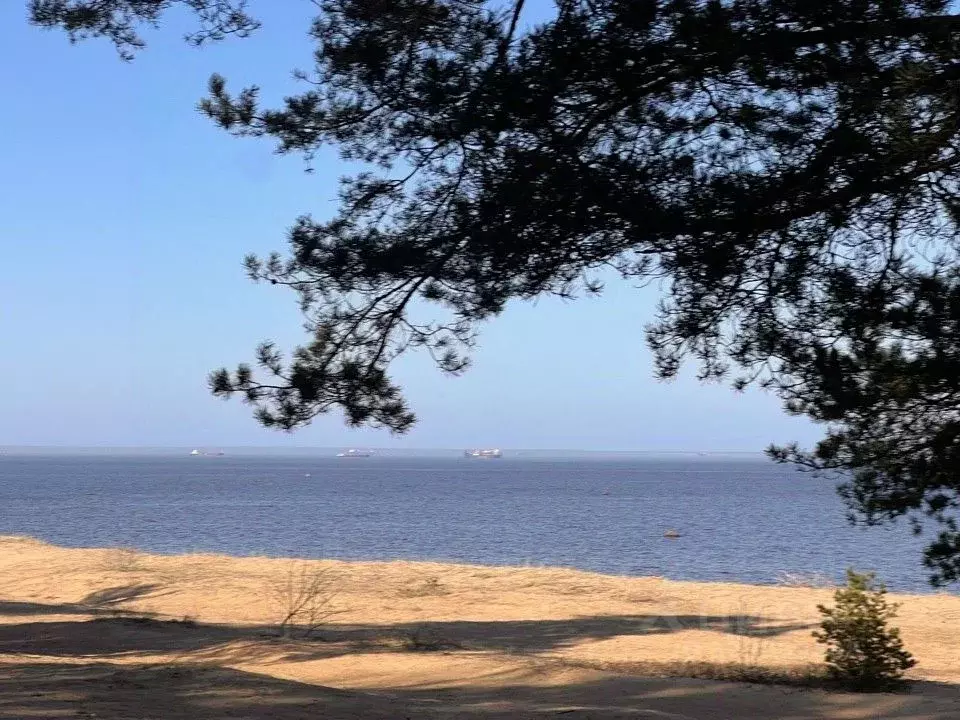 Участок в Ленинградская область, Ломоносовский район, Лебяженское ... - Фото 0