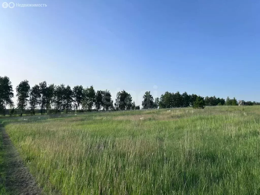 Участок в село Баратаевка, СНТ Восход (7 м) - Фото 0