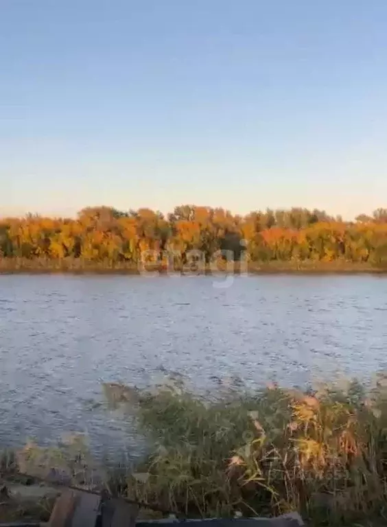 Участок в Астраханская область, Володарский район, с. Новокрасное  ... - Фото 1