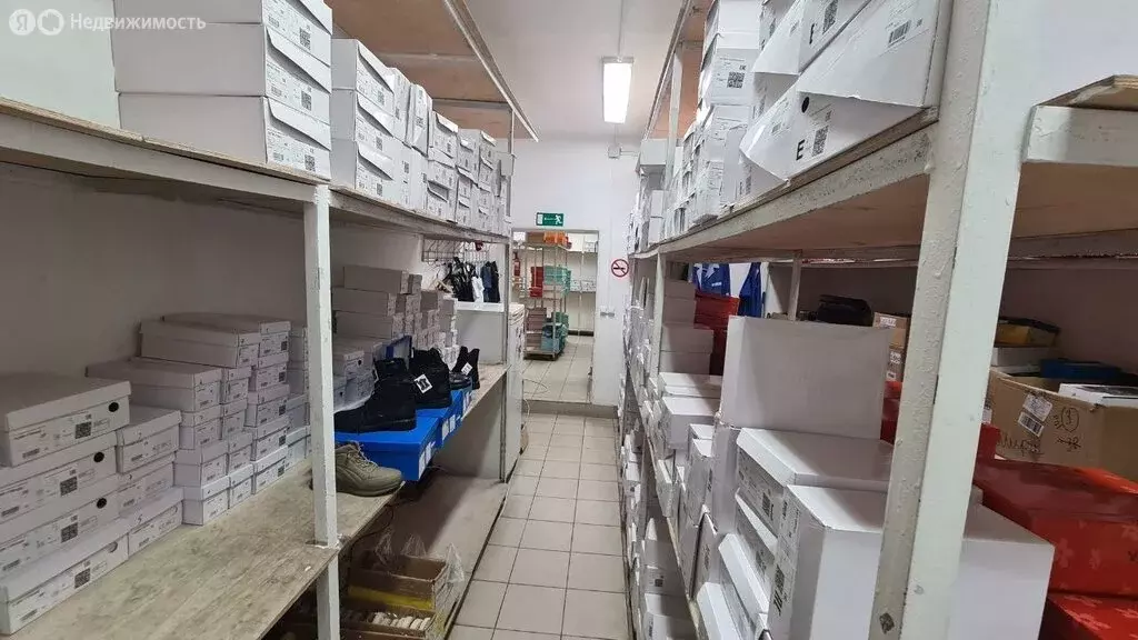 Помещение свободного назначения (419.8 м) - Фото 0