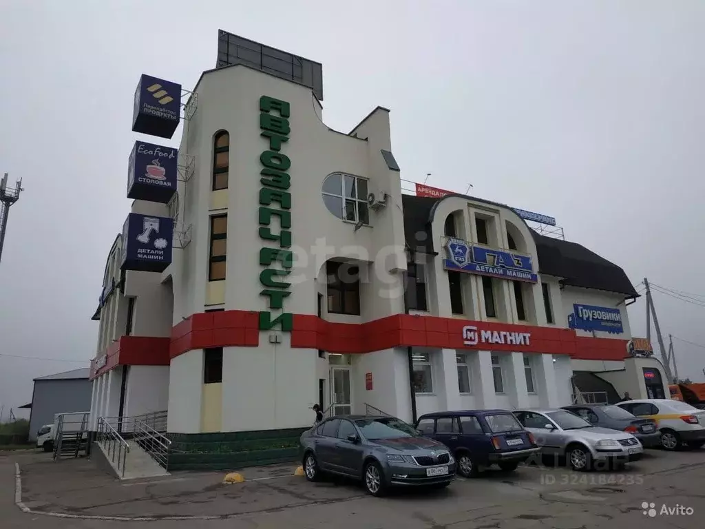 Торговая площадь в Калужская область, Жуковский муниципальный округ, ... - Фото 1