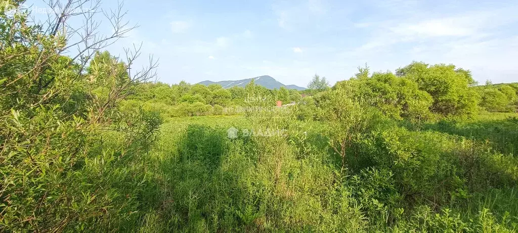 Участок в Арсеньев, Тихоокеанская улица, 45 (12 м) - Фото 0