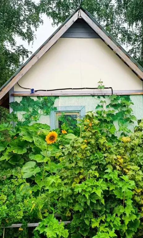 Дом в Томская область, Томск Мичуринец садовое товарищество, ул. 11-я, ... - Фото 1