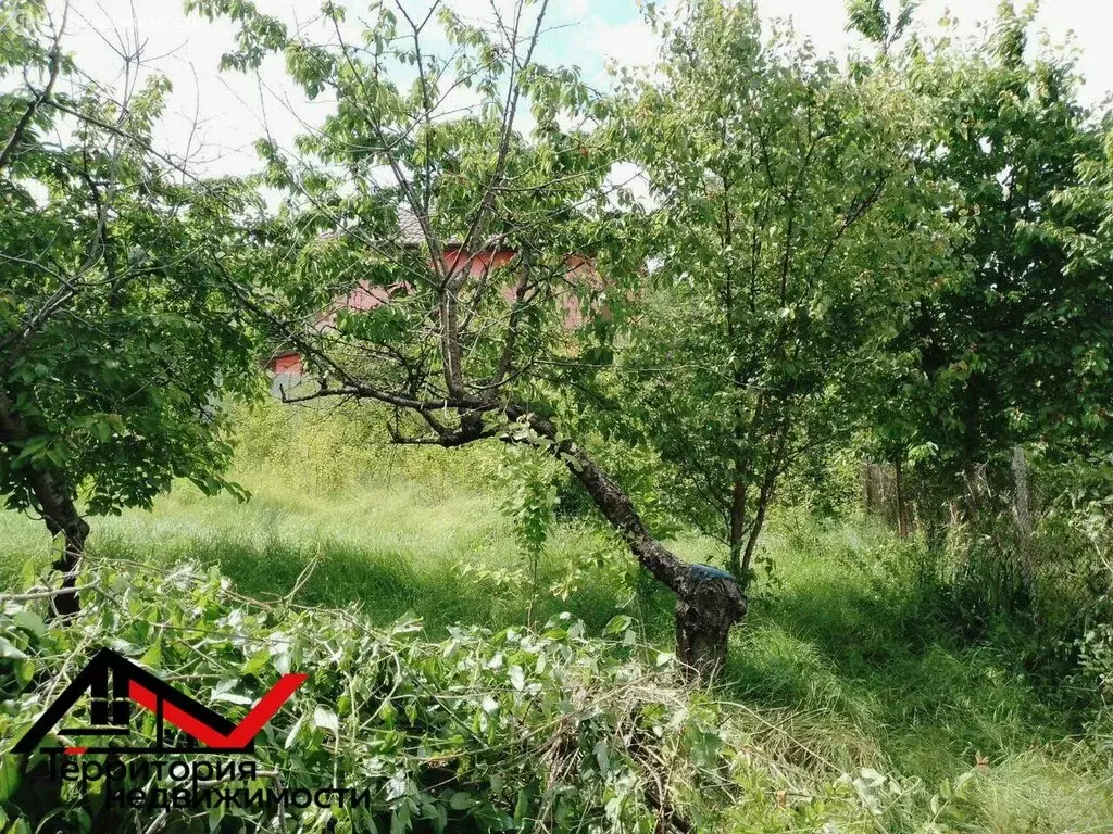 Участок в Севастополь, Балаклавский муниципальный округ, СТ Рубин, 53 ... - Фото 1