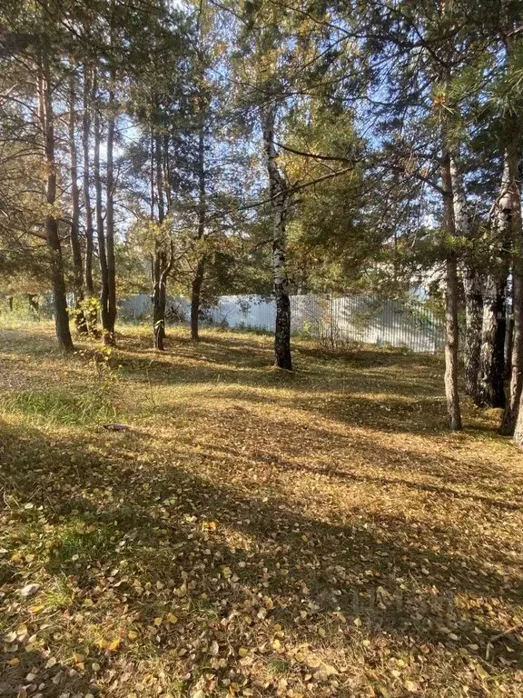 Участок в Свердловская область, Сысертский муниципальный округ, с. ... - Фото 2