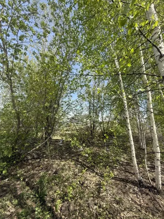 Участок в Алтайский край, Барнаул проезд Кофейный, 2 (7.02 сот.) - Фото 2