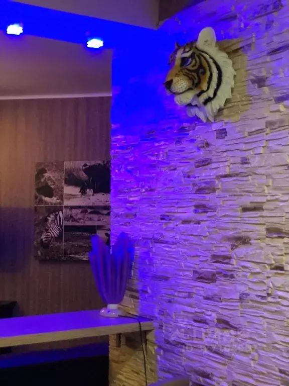 Студия Башкортостан, Уфа ул. Цюрупы, 158/2 (36.0 м) - Фото 1