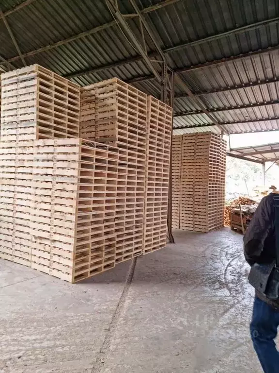 Производственное помещение в Ленинградская область, Лужский район, ... - Фото 2