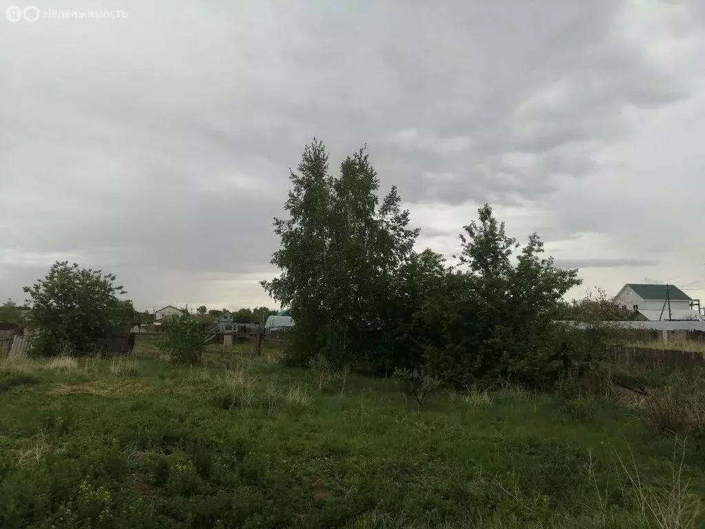 Участок в Ангарск, СНТ Лесник-1, Молдавская улица (20 м) - Фото 0