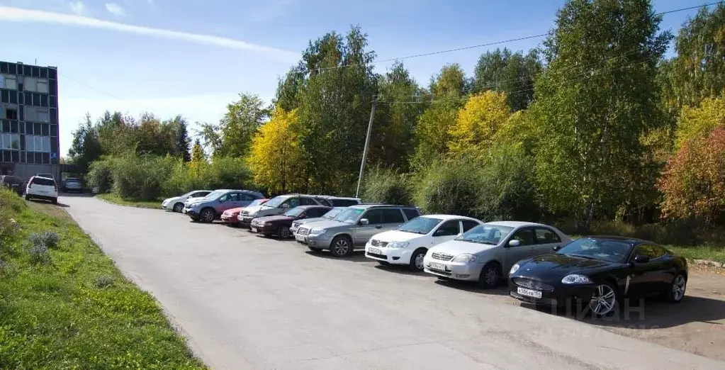 Помещение свободного назначения в Новосибирская область, Новосибирск ... - Фото 2