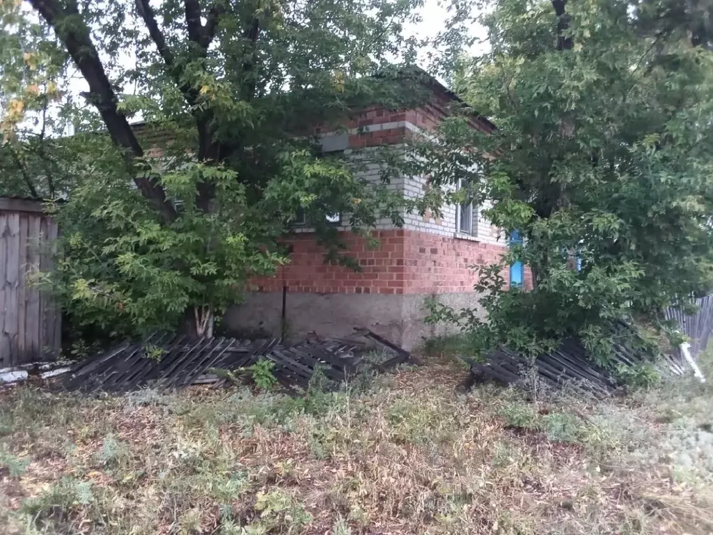 Помещение свободного назначения в Курганская область, Куртамышский ... - Фото 0