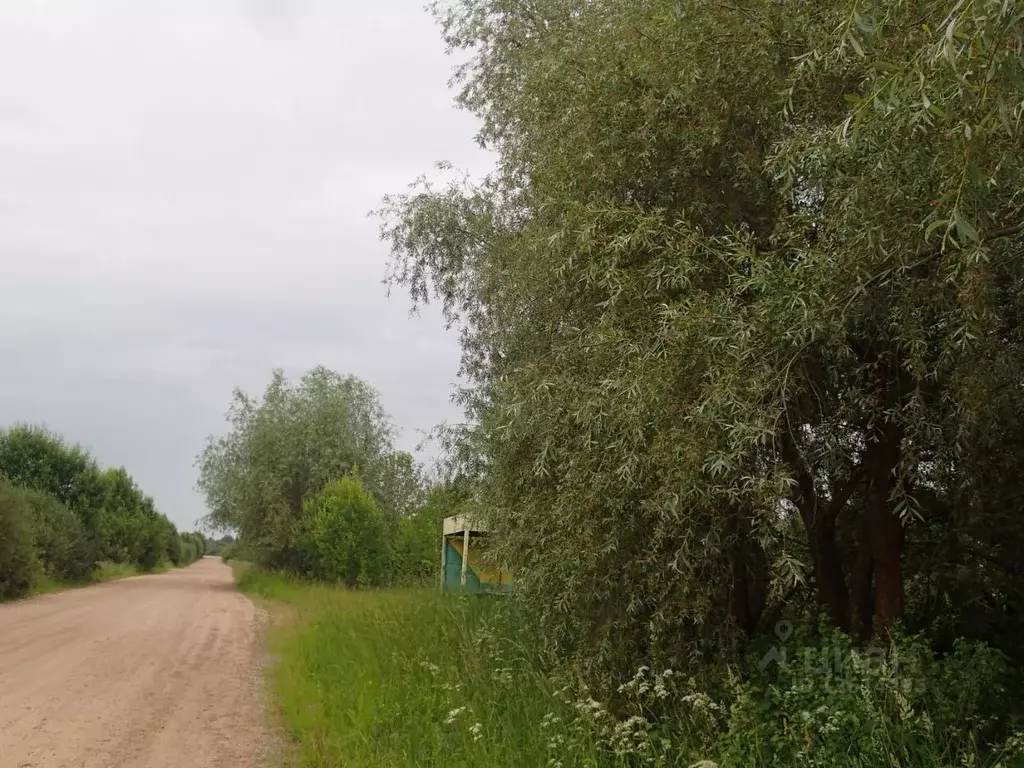 Участок в Новгородская область, Солецкий муниципальный округ, д. ... - Фото 0