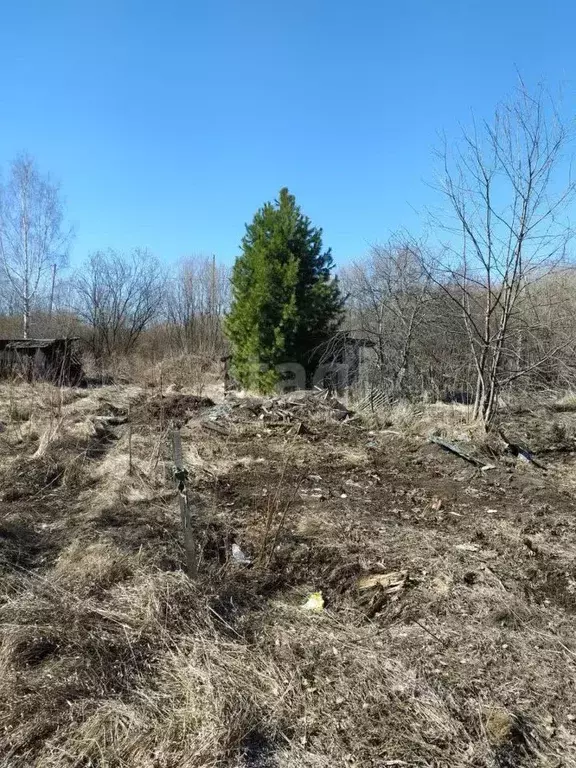 Участок в Свердловская область, Верх-Нейвинский пгт ул. Арапова, 100к8 ... - Фото 1