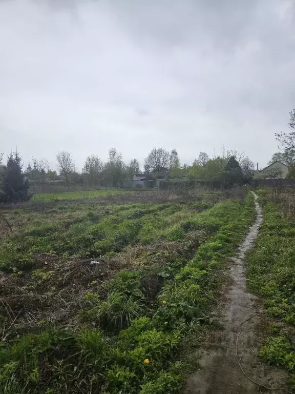 Участок в Московская область, Пушкинский городской округ, с. ... - Фото 0