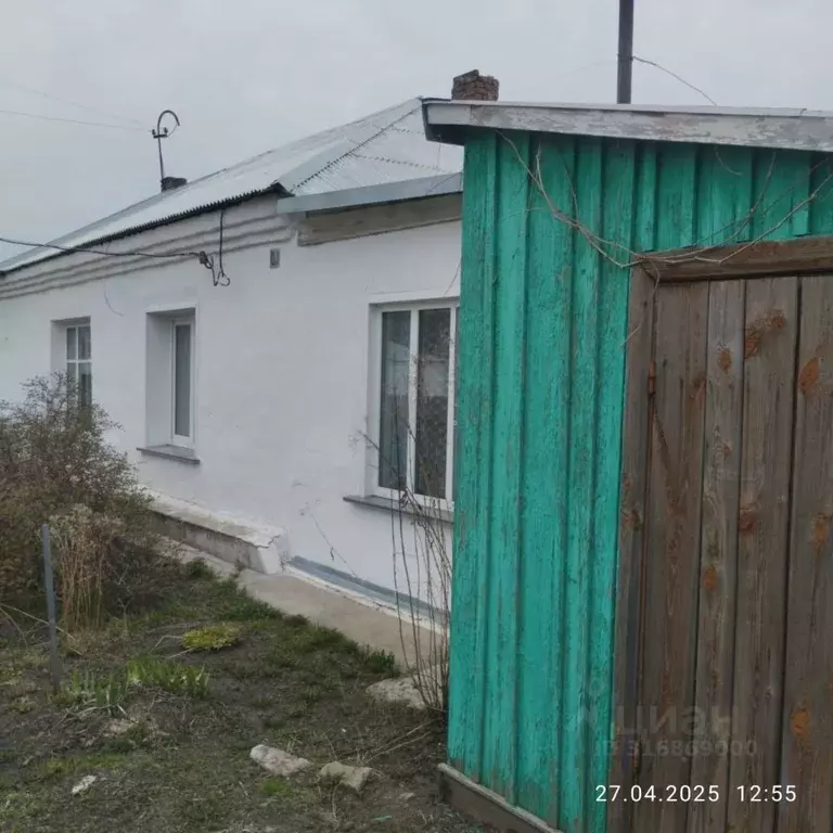 Дом в Новосибирская область, Сузунский район, с. Болтово  (36 м) - Фото 0