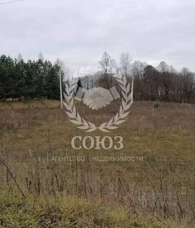 Участок в Калужская область, Боровский муниципальный округ, д. Тюнино ... - Фото 1