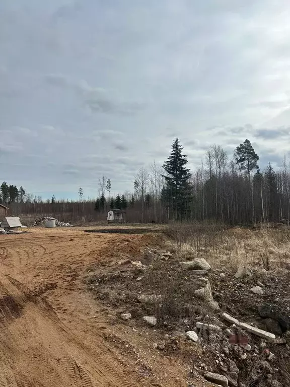 Участок в Ленинградская область, Сосновый Бор Собственников ... - Фото 1