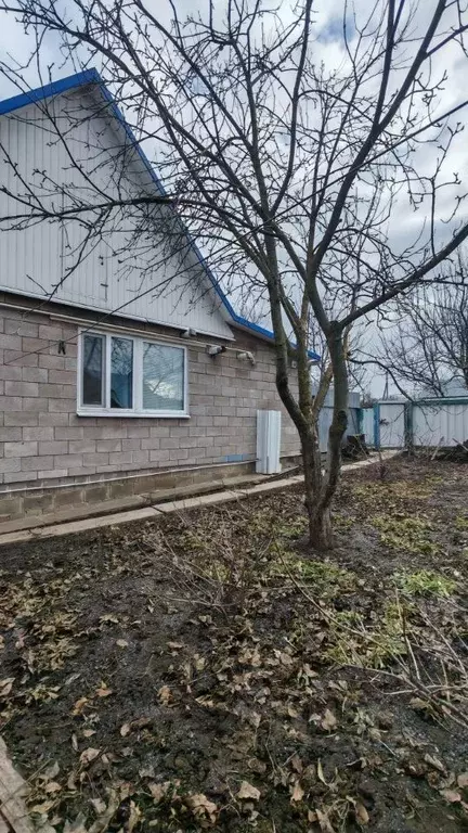 Дом в Белгородская область, Корочанский район, с. Мелихово Садовая ул. ... - Фото 1