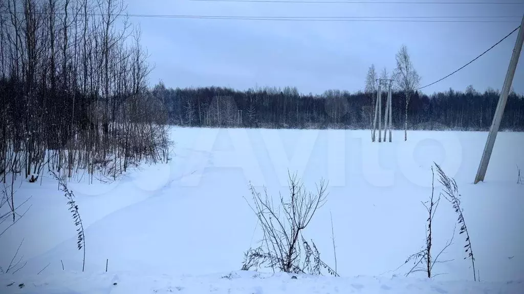 Участок 5 сот. (ИЖС) - Фото 1