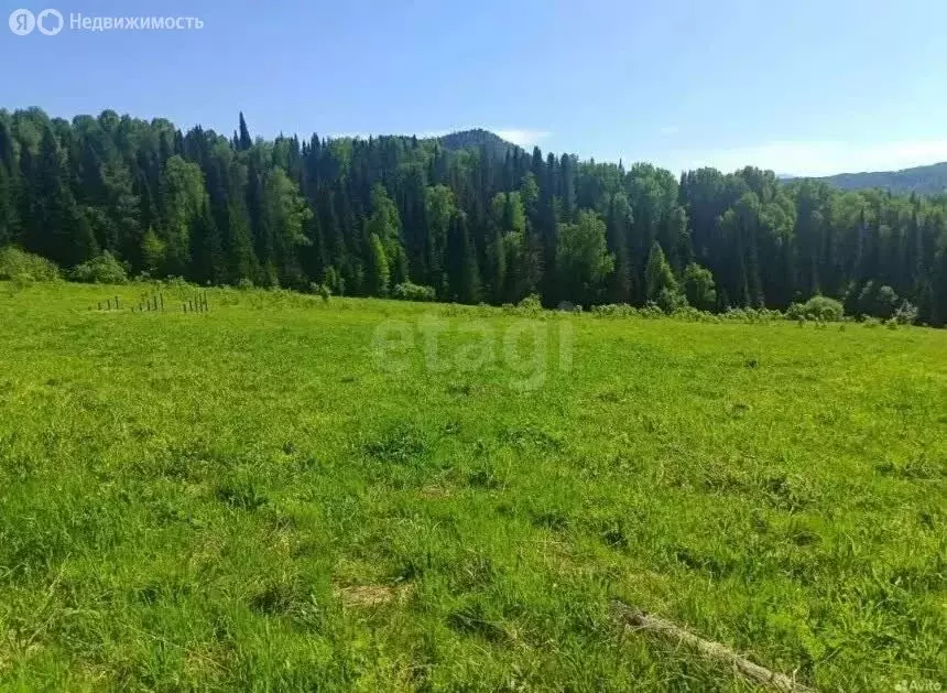 Участок в село Чоя, Зимний переулок (20 м) - Фото 1