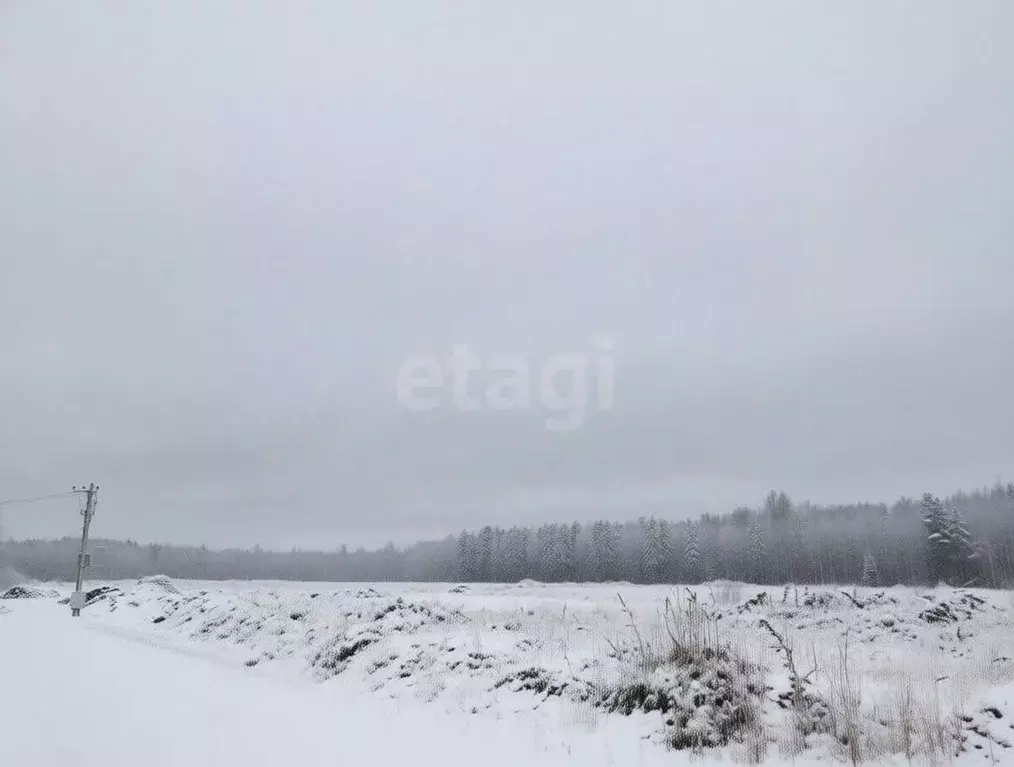 Участок в Ленинградская область, Всеволожский район, Колтушское ... - Фото 1